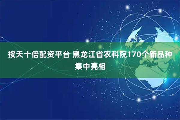 按天十倍配资平台 黑龙江省农科院170个新品种集中亮相