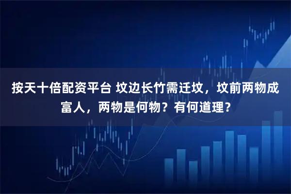 按天十倍配资平台 坟边长竹需迁坟,坟前两物成富人,两物是何物?有何道理?
