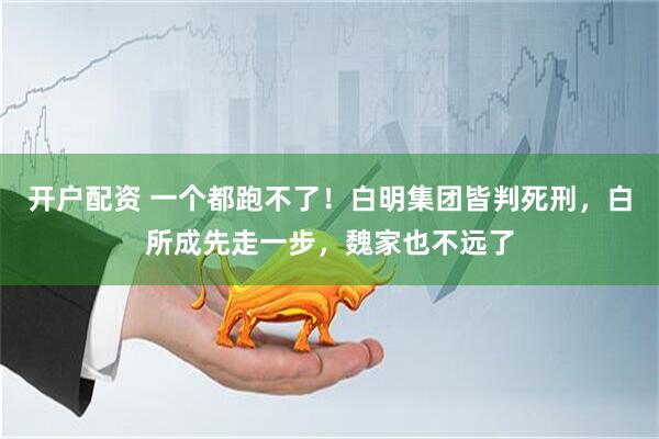 开户配资 一个都跑不了！白明集团皆判死刑，白所成先走一步，魏家也不远了