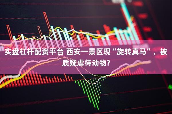实盘杠杆配资平台 西安一景区现“旋转真马”，被质疑虐待动物?